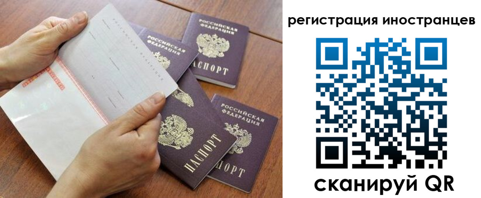 прописка поиск в Сальске